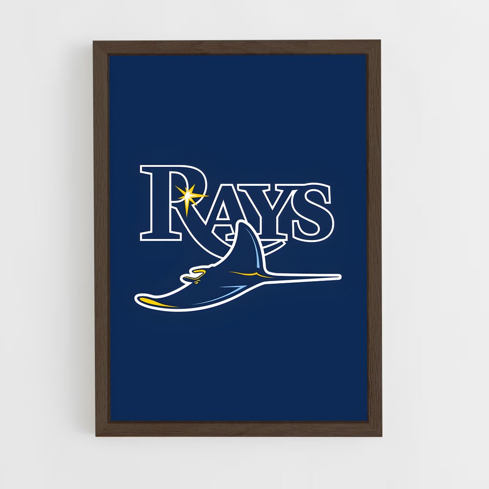 ap-tampa bay rays-1 cadre Bois foncé
