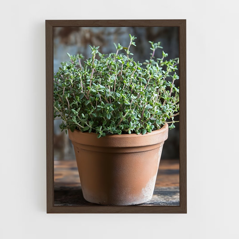 ap-thyme-1 cadre Bois foncé