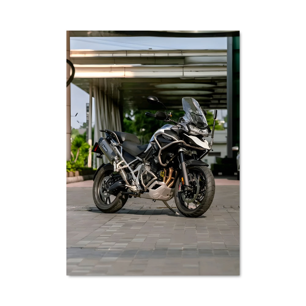 Poster Tiger 1200 82831