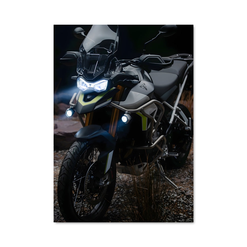 Poster Tiger 900 82833