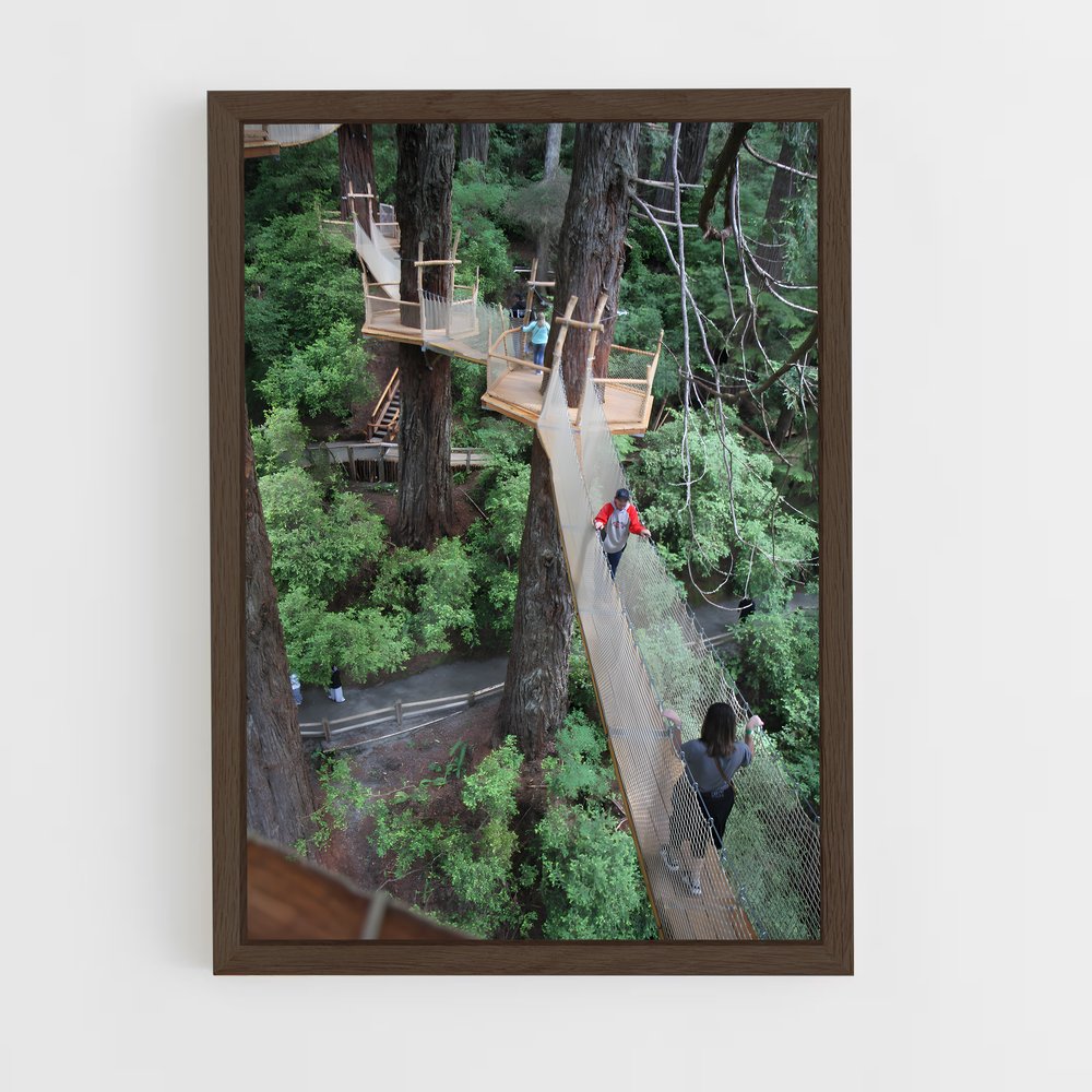 ap-tree canopy-8 cadre Bois foncé