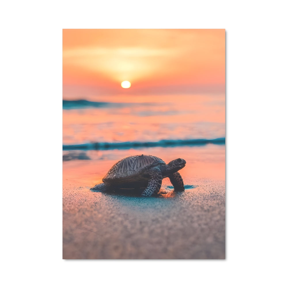 Poster Tortue au Crépuscule