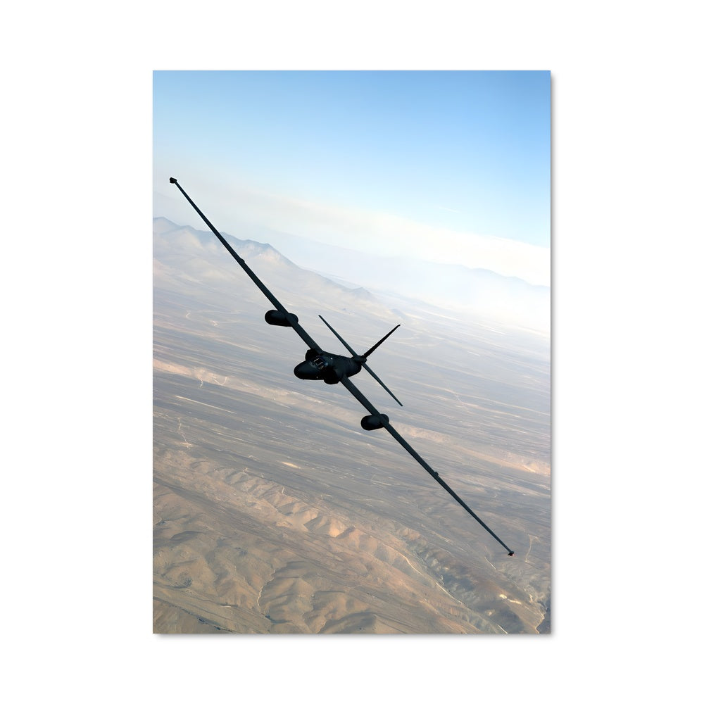 Poster Dragon Lady en Vol