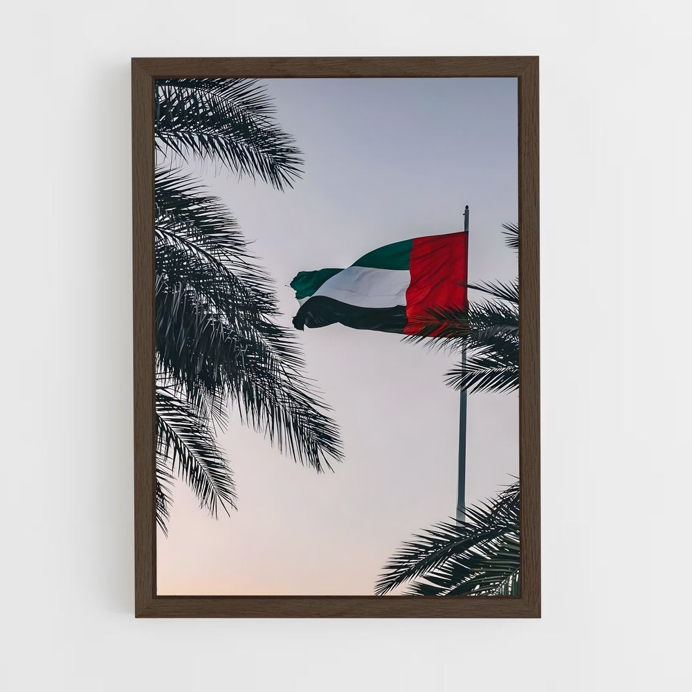 ap-united arab emirates flag-2 cadre Bois foncé