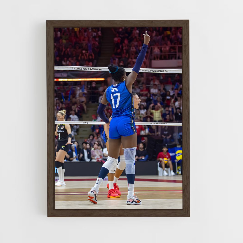 ap-volleyball world championships-5 cadre Bois foncé