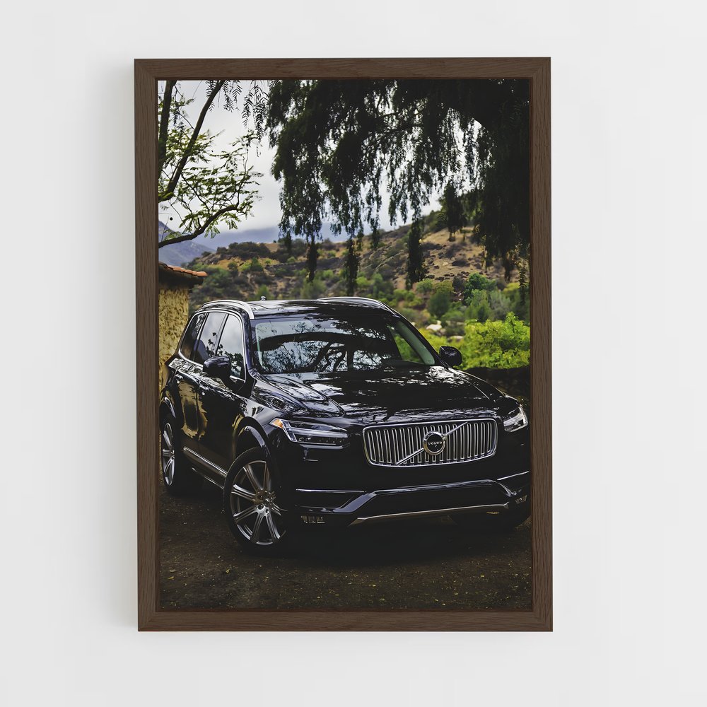 ap-volvo-1 cadre Bois foncé
