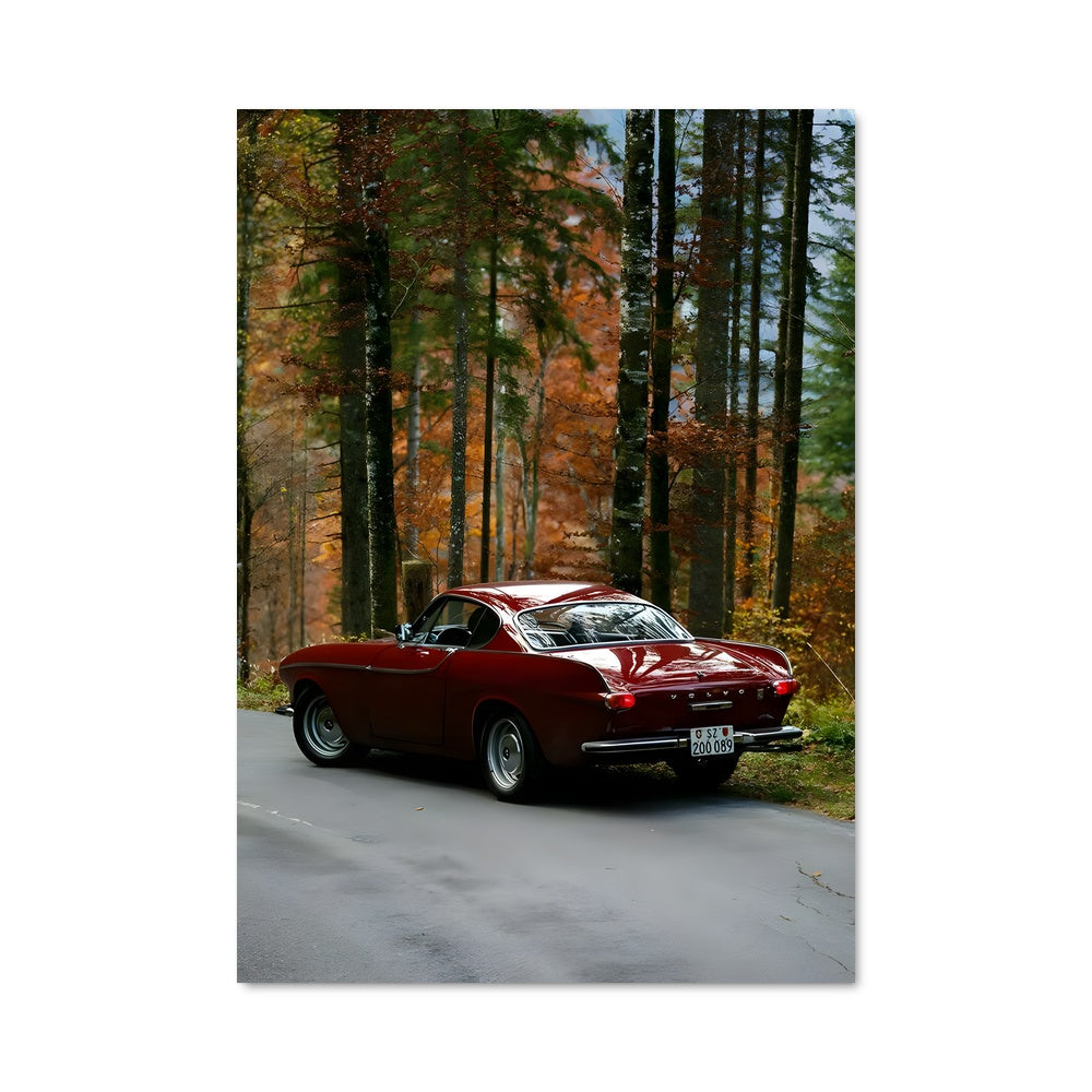 Poster Voyage en Forêt