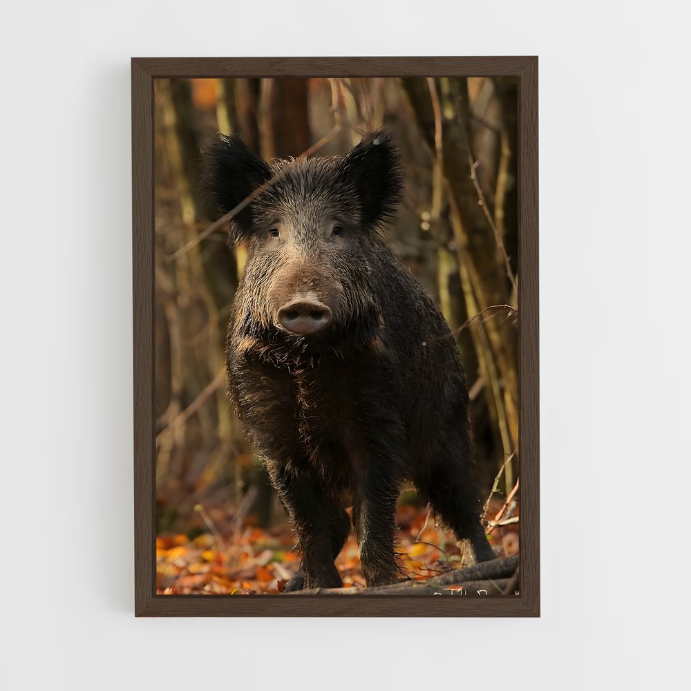 ap-wild boar-4 cadre Bois foncé