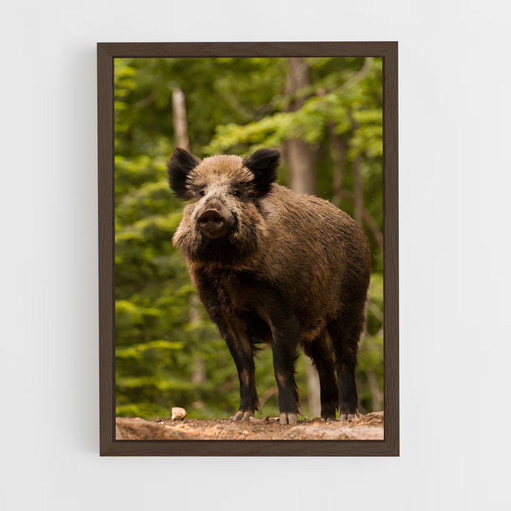 ap-wild boar-6 cadre Bois foncé