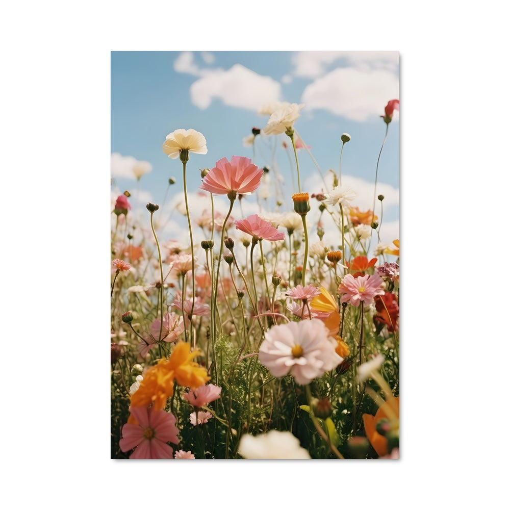 Poster Wildflower field 97400