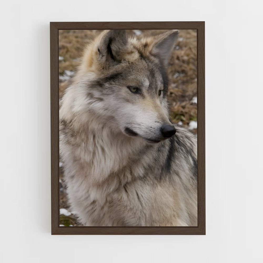 ap-wolf-10 cadre Bois foncé