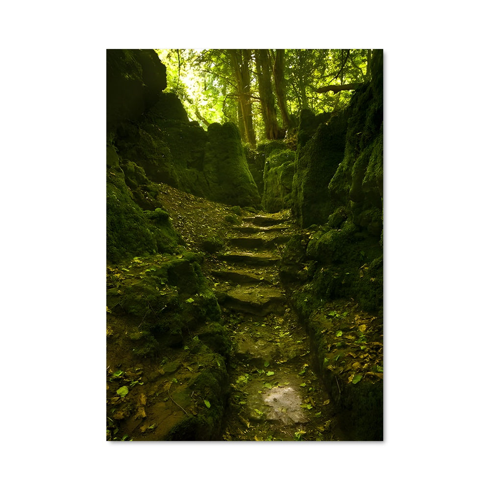 Poster Woodland 95018