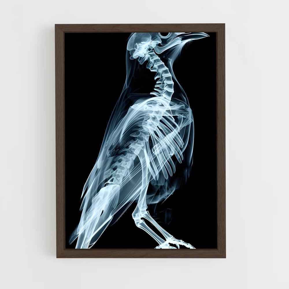 ap-x-rays-5 cadre Bois foncé