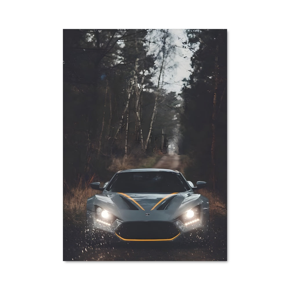 Poster Zenvo 79929