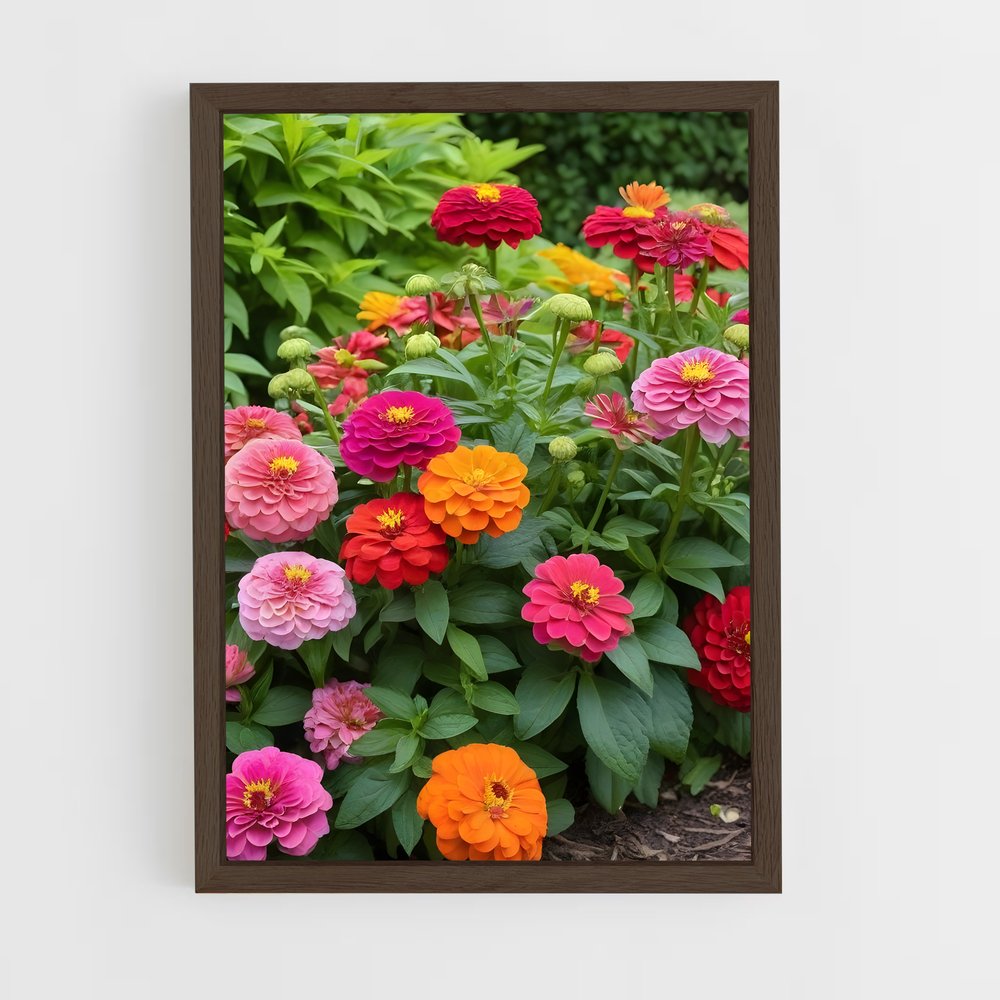 ap-zinnia-5 cadre Bois foncé