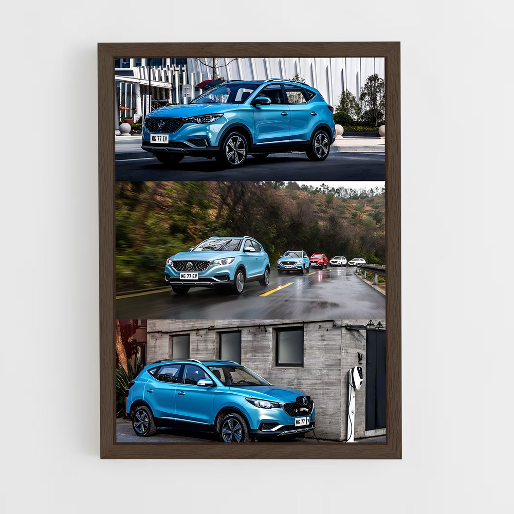 ap-zs ev-1 cadre Bois foncé
