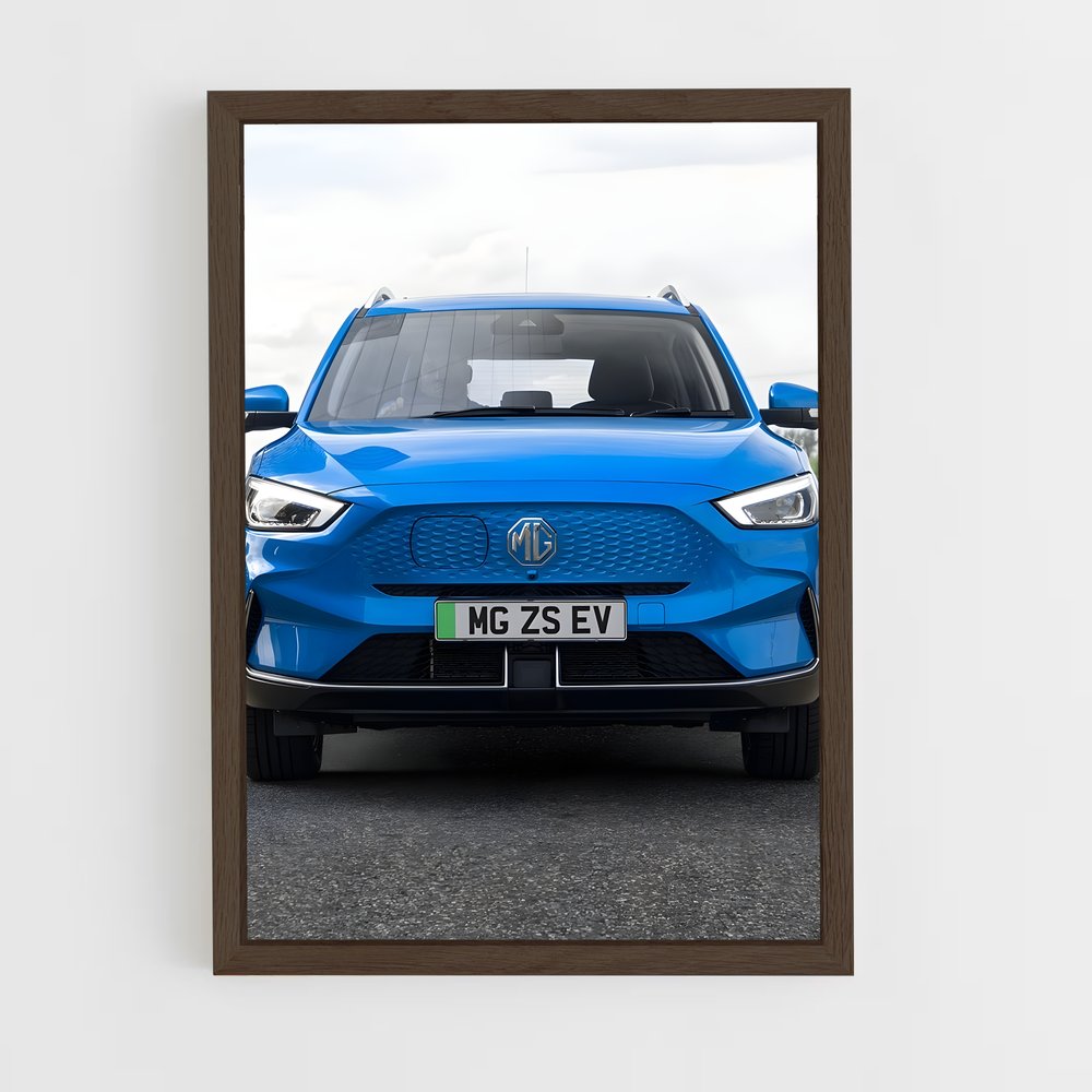 ap-zs ev-2 cadre Bois foncé