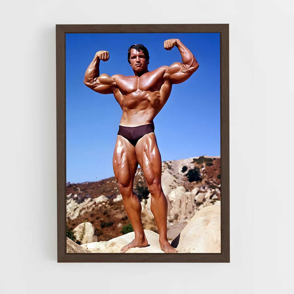 arnold-2 cadre Bois foncé
