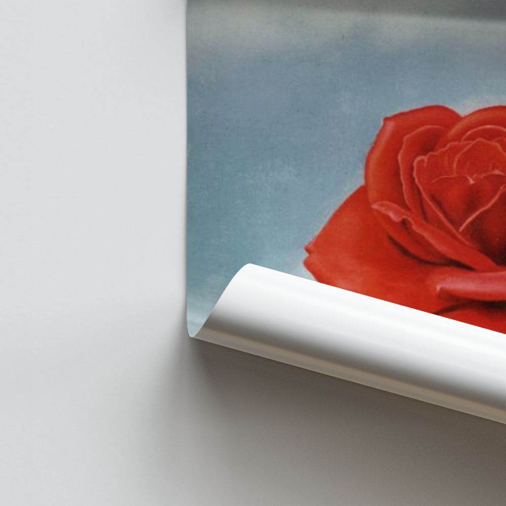 Poster Rose Méditative