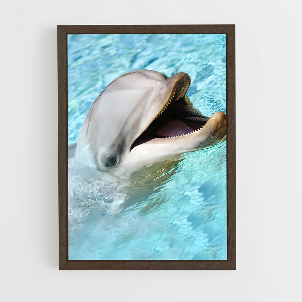dolphin-7 cadre Bois foncé