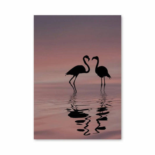 Poster Romance Flamant