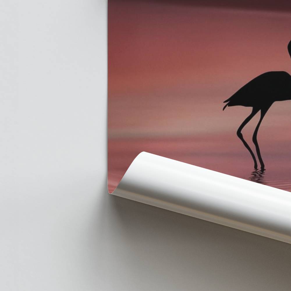 Poster Romance Flamant