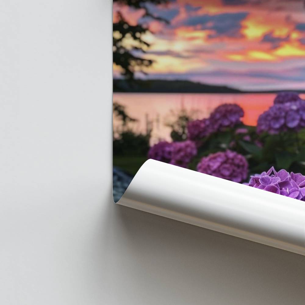 Poster Crépuscule Hydrangea