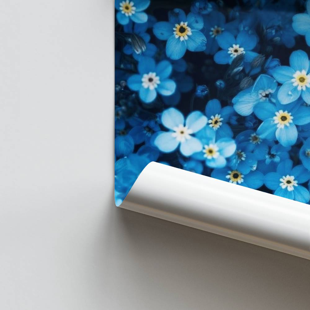 Poster Myosotis Bleu