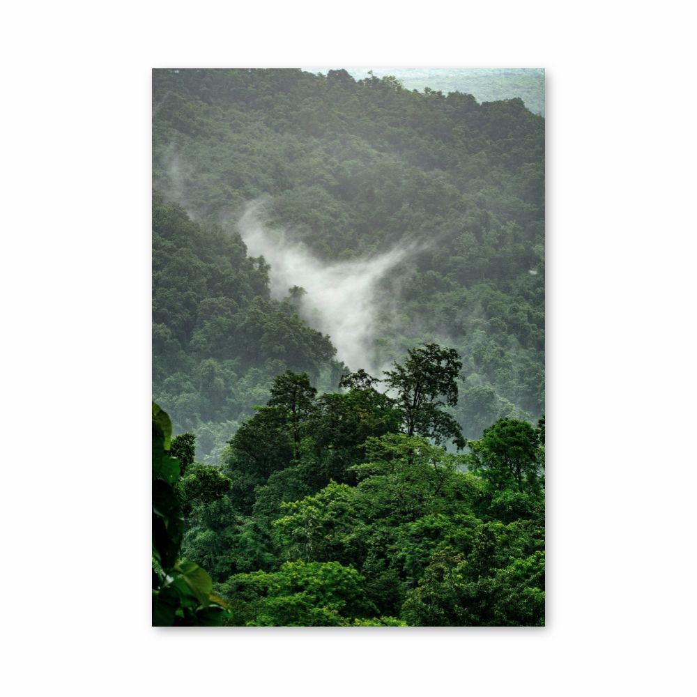 Poster Forêt Tropicale