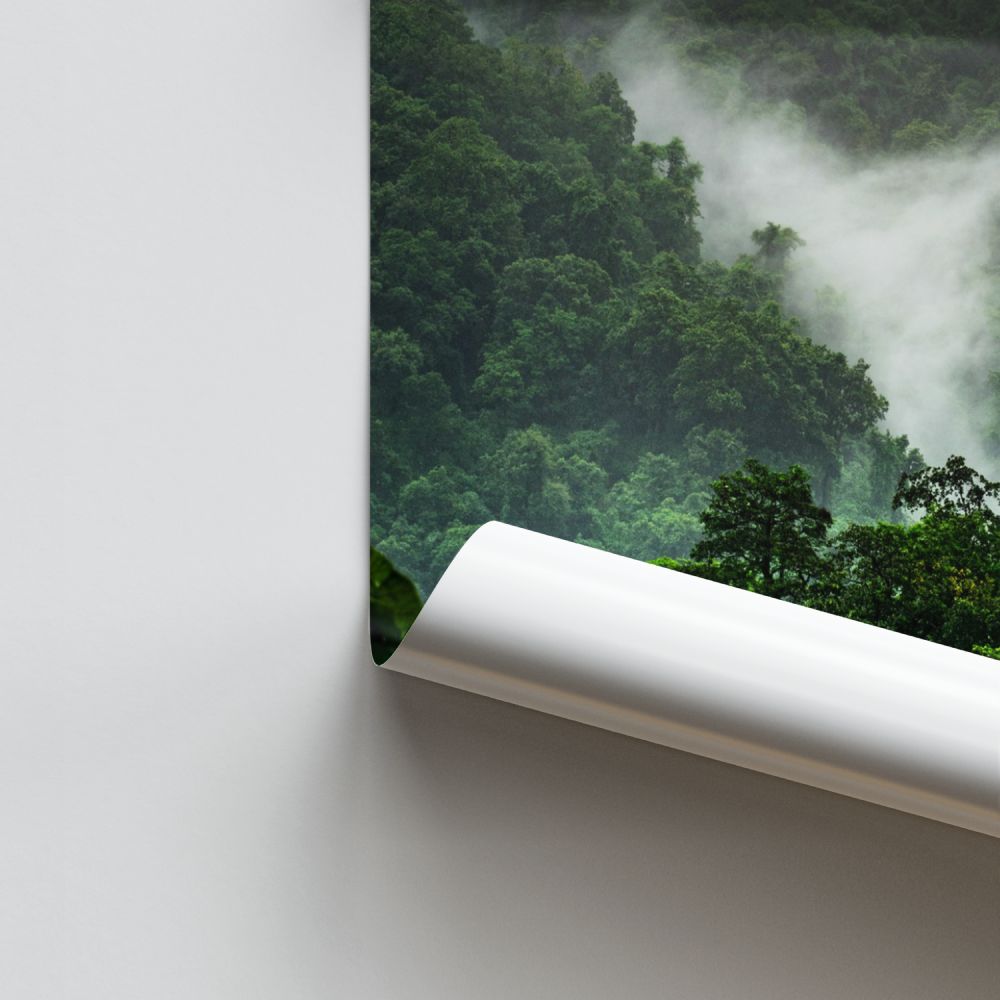Poster Forêt Tropicale