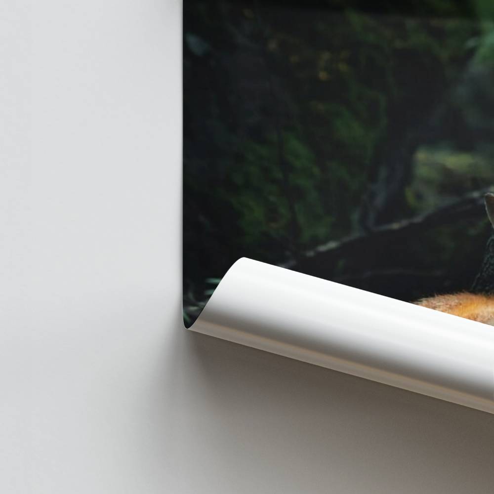 Poster Renard Forêt