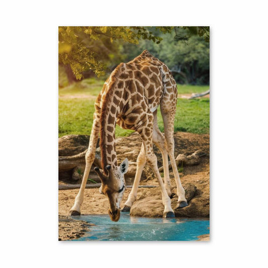 Poster Sérénité de la Girafe
