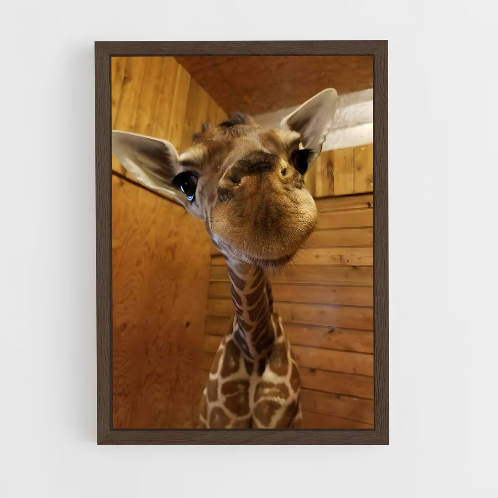 giraffe-6 cadre Bois foncé