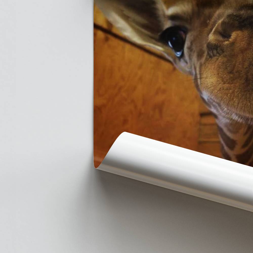 Poster Joie de Girafe