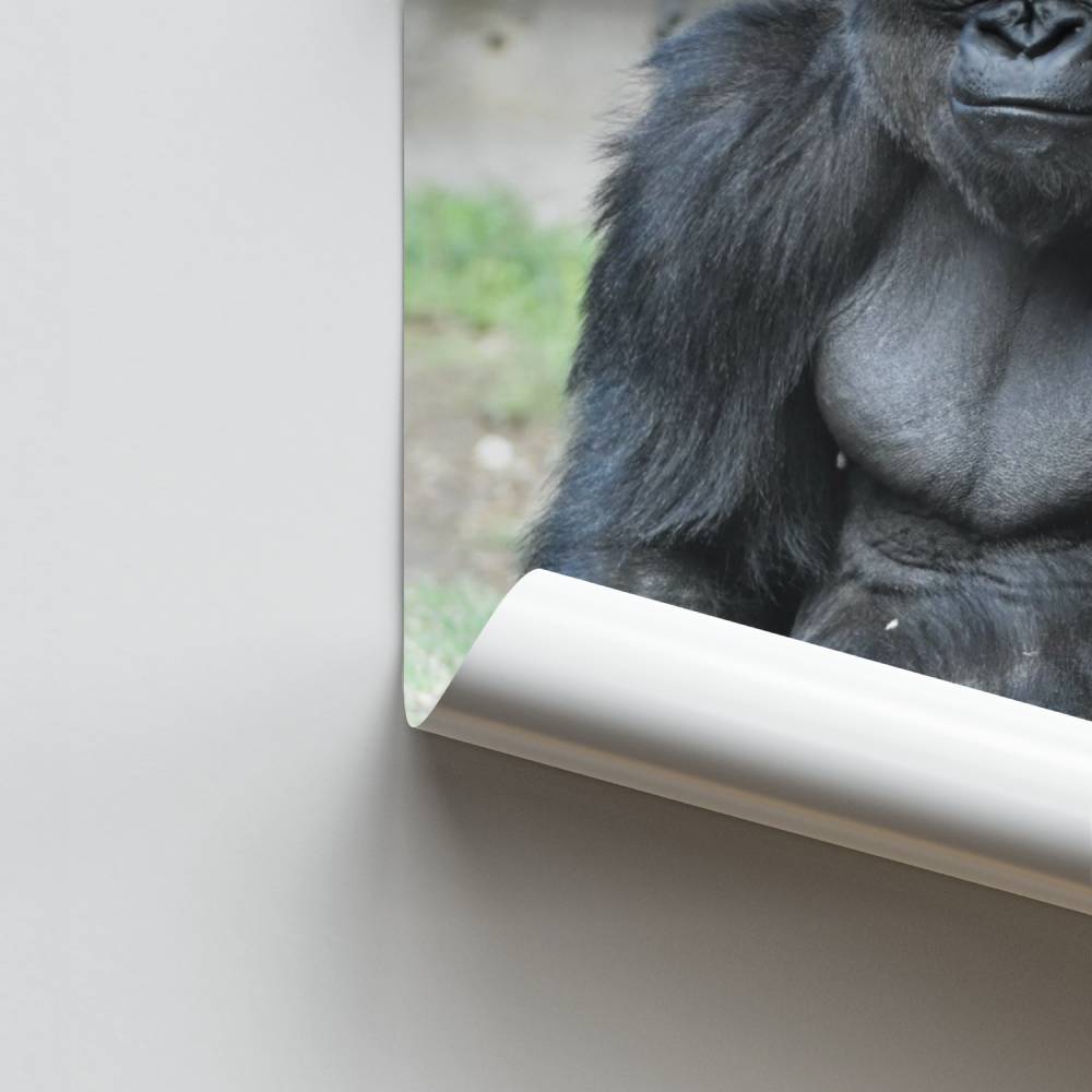 Poster Puissance Sauvage