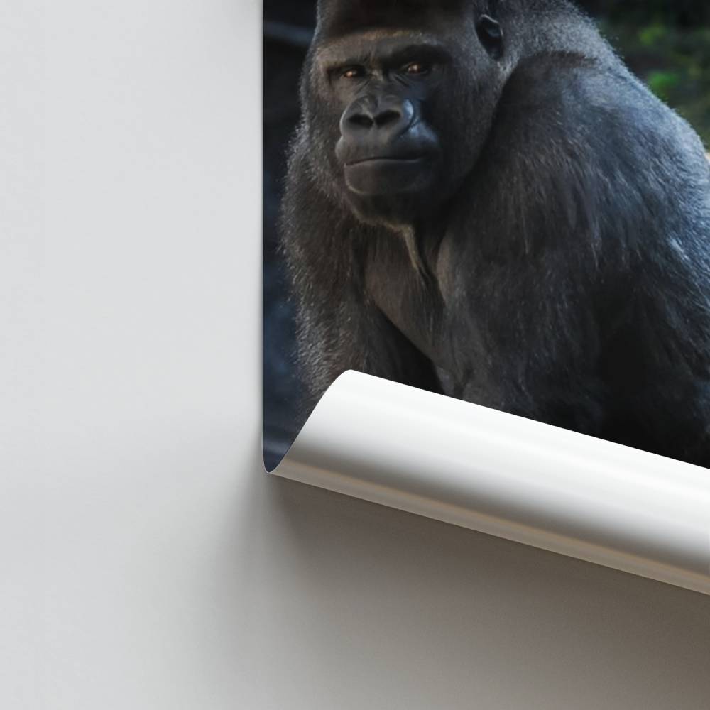 Poster Force Primordiale