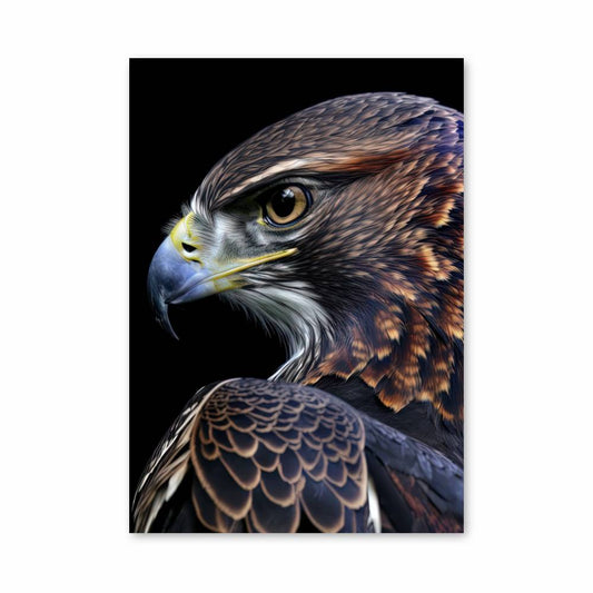 Poster Half-Pipe King