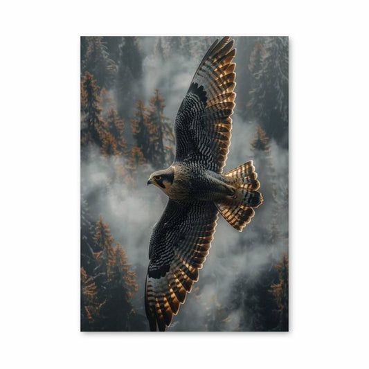 Poster Aerial Skate Leaps