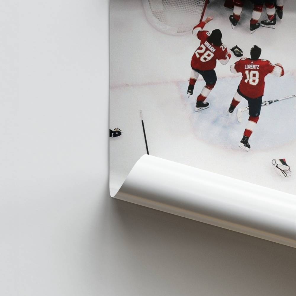 Poster Celebration sur Glace