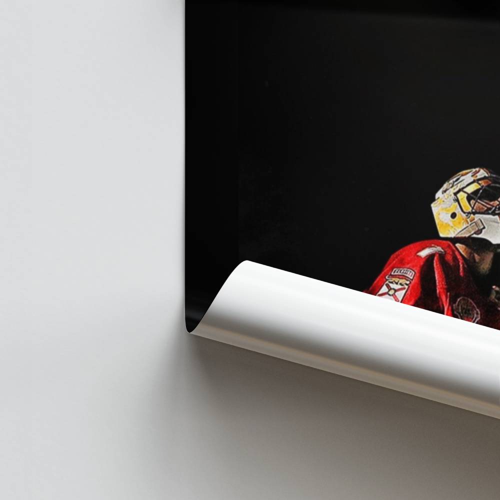 Poster Gardien des Panthers