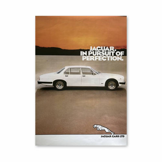 Poster Perfection en Poursuite