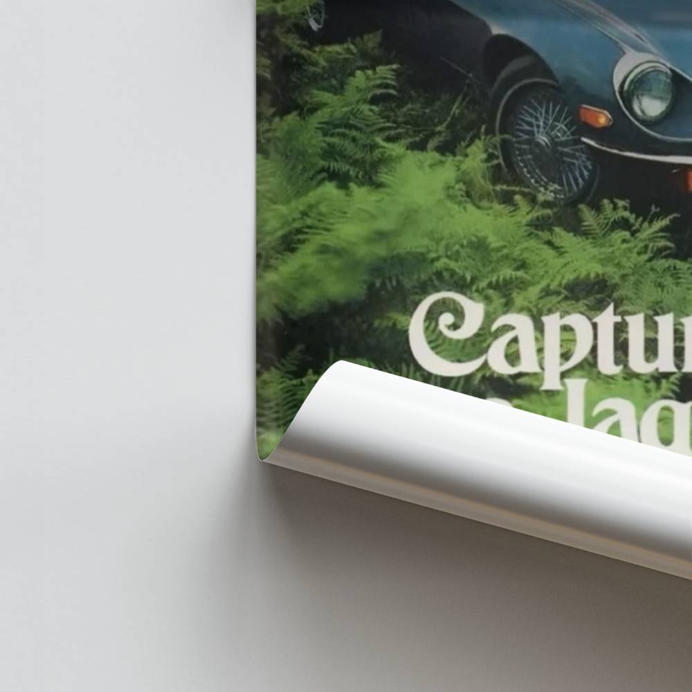 Poster Capture de Jaguar