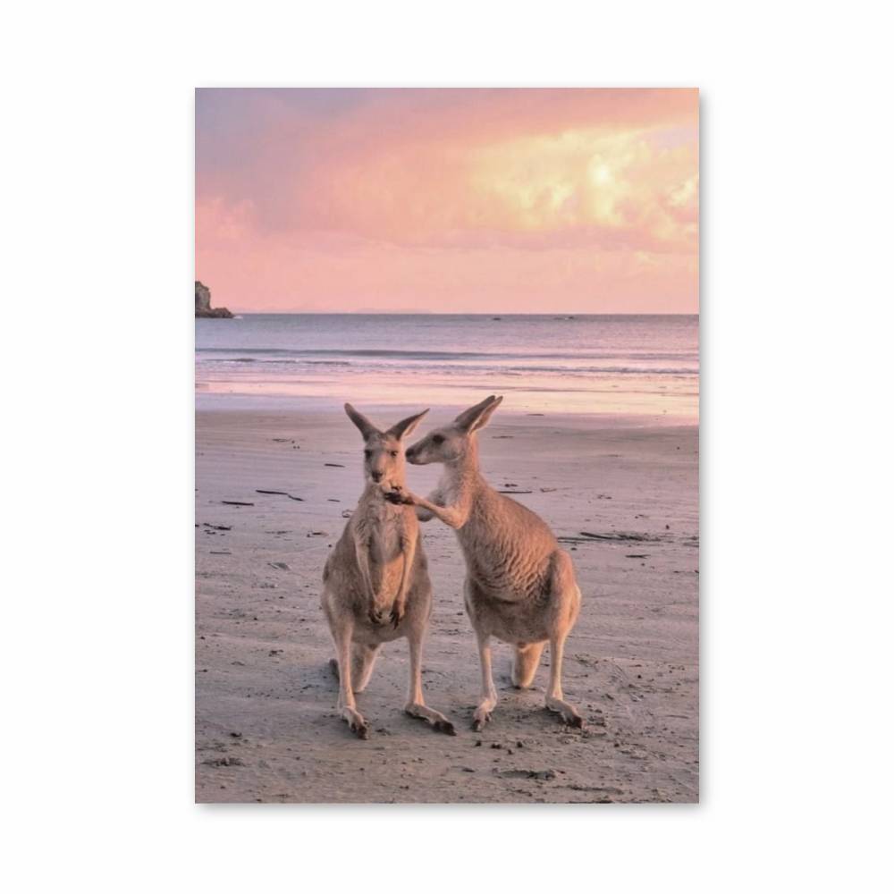 Poster Aube des Kangourous