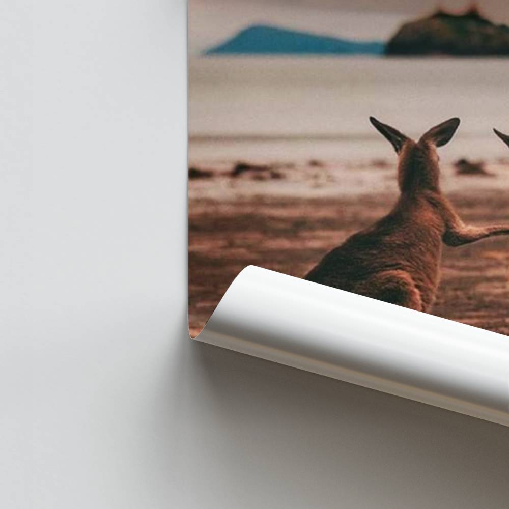 Poster Kinship Coast