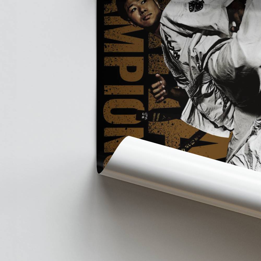 Poster Maître et Élève Karate