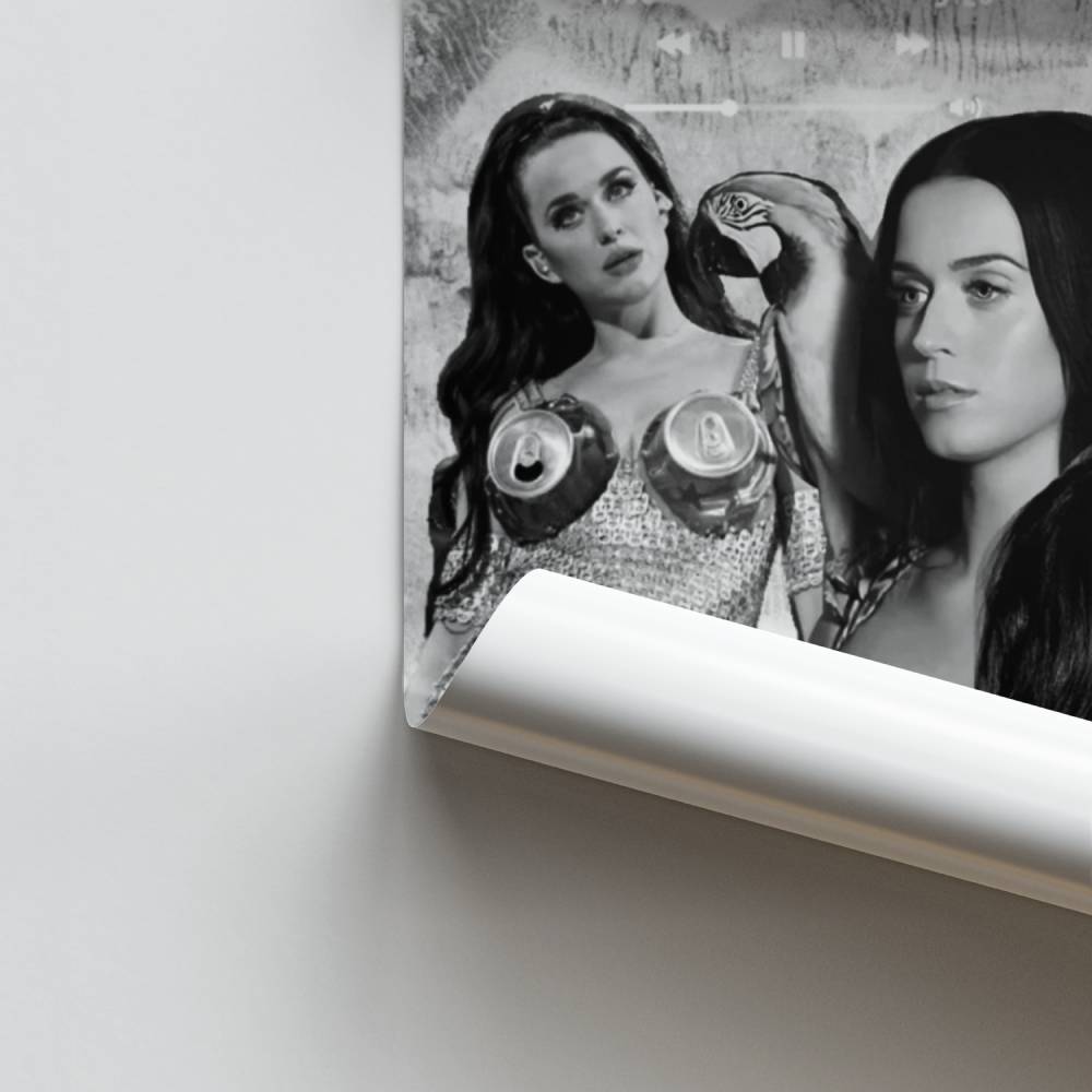 Poster Évolution Artiste