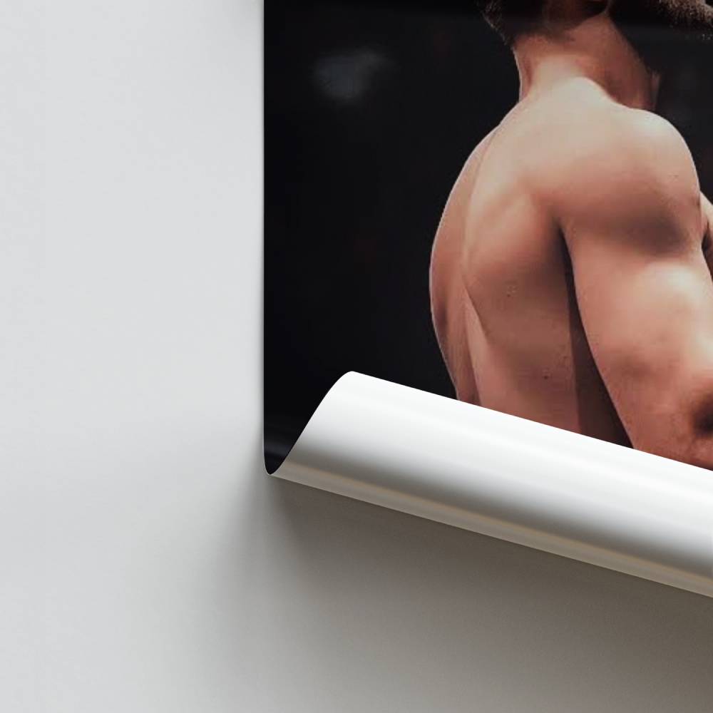 Poster Guerrier du Ring