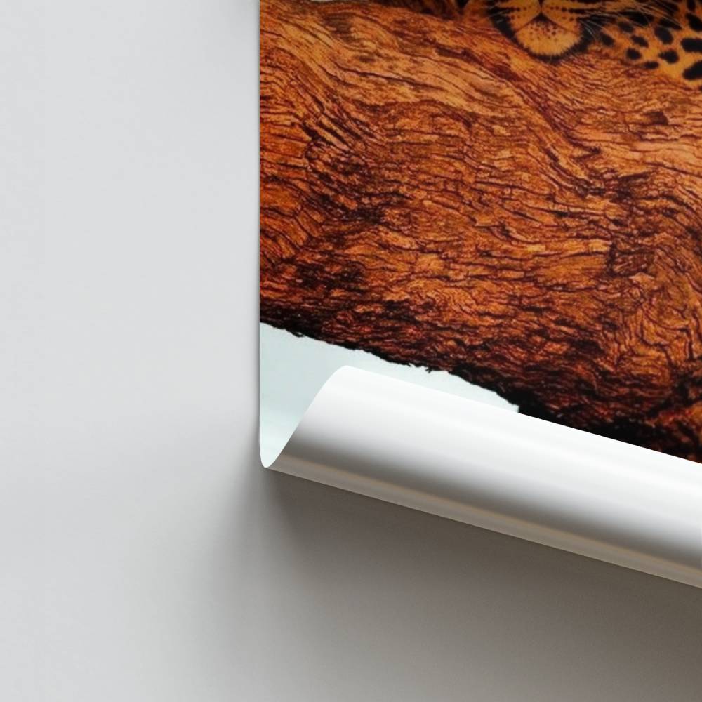 Poster Repos du Léopard