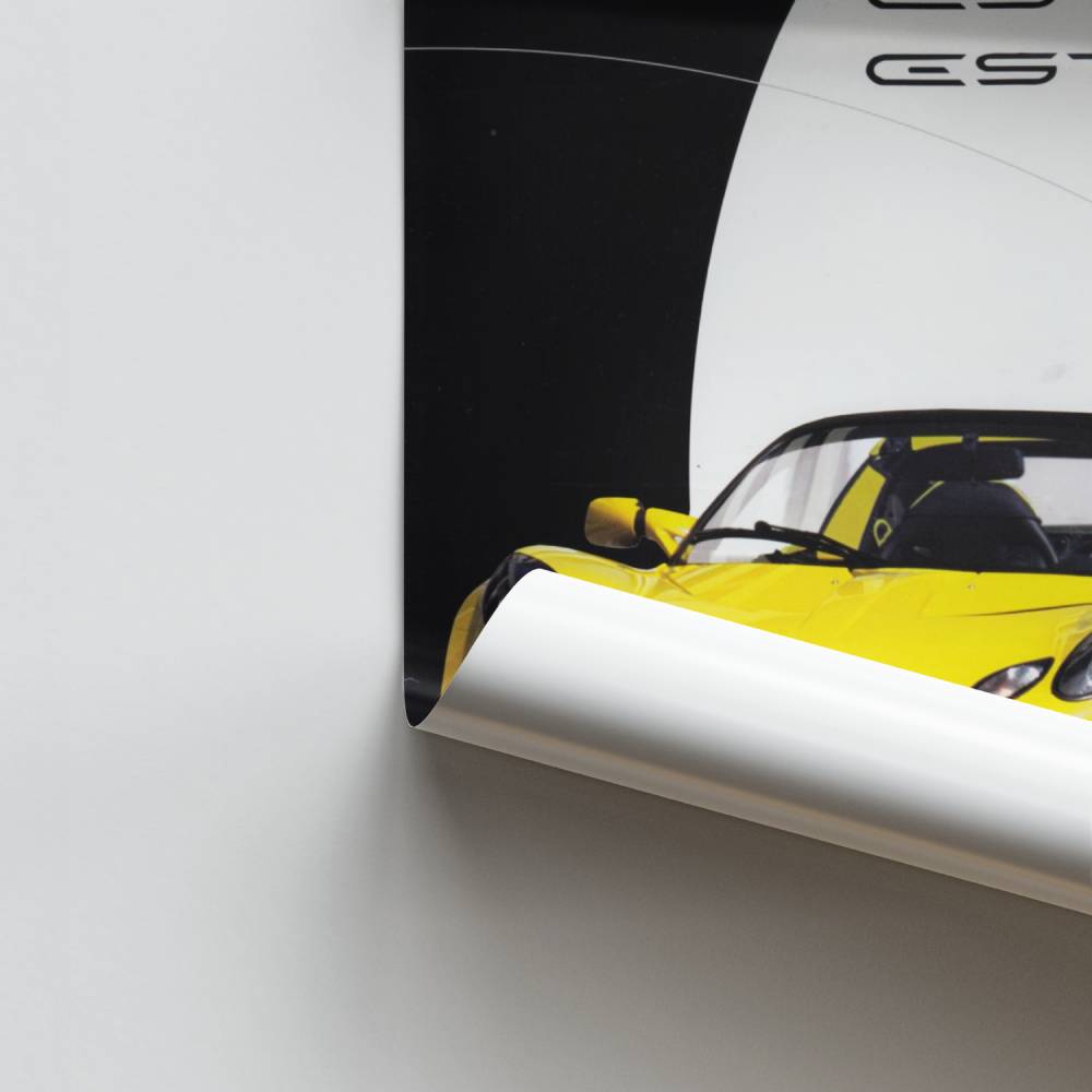 Poster Lotus Éclatant