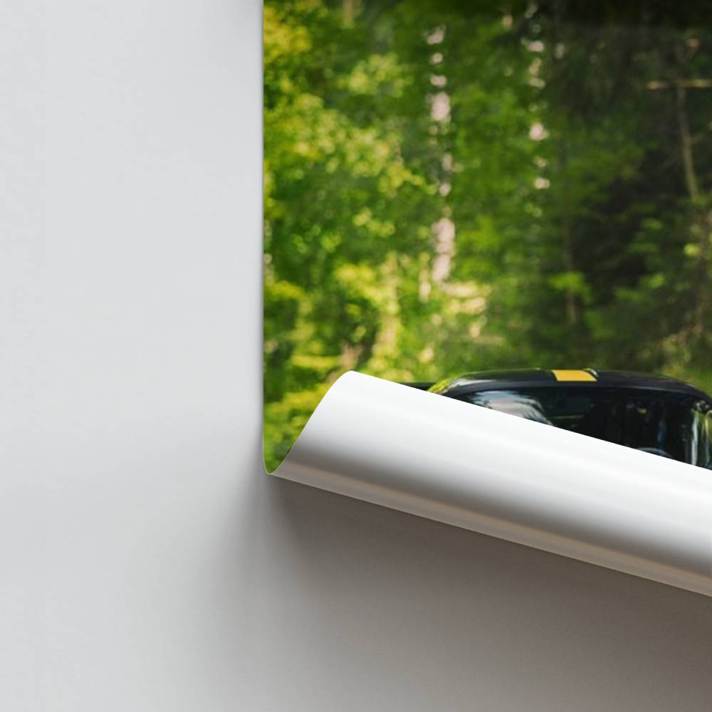 Poster Vitesse et Nature